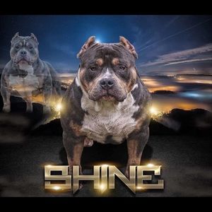 Meet your Posher, Justin